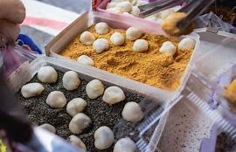 最新消息圖片1